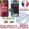 Ecran in-CELL iPhone A2221 Verre Liquides iTruColor PREMIUM Apple inCELL Remplacement 11 Écran Touch Cristaux Multi-Touch LCD SmartPhone