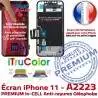 iPhone A2223 sur Châssis 11 6,1 Affichage True inCELL LCD in Apple PREMIUM Tone Écran Cristaux Retina Liquides Vitre SmartPhone