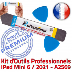 A2569 Ecran 6 iSesamo KIT iPad Compatible Vitre Tactile iPadMini PRO Outils Démontage Qualité iLAME Professionnelle Réparation Remplacement