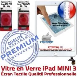 MINI Vitre iPad 3 Fixation A1599 Caméra Bouton Réparation Tactile Home Blanc Monté Verre Tablette A1600 Oléophobe Filtre Mini3 Adhésif Nappe Ecran