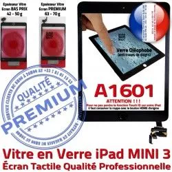 Filtre A1601 Tactile Ecran Nappe Oléophobe Verre iPad Bouton Noir Tablette Adhésif Fixation Vitre PREMIUM Caméra Mini3 Réparation