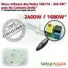 Micro Capteur Radar SINOPower Interrupteur Détecteur Éclairage Basse Électrique Présence Passage HF Alarme Détection Automatique Personne Consommation de